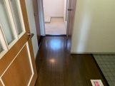クリスタルパレス その他