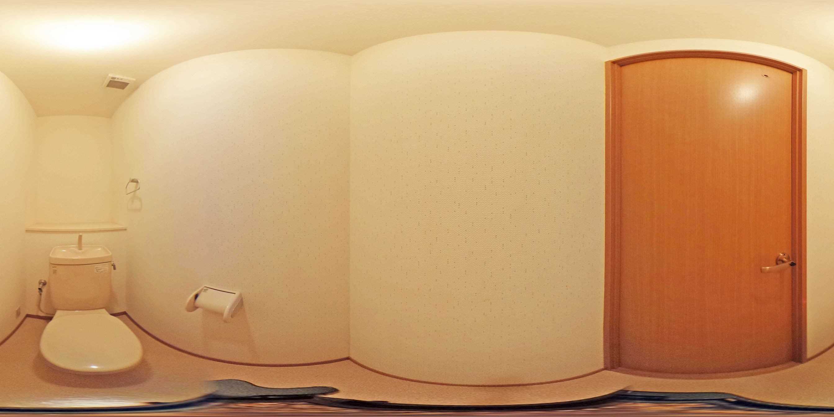 オオシマハイツベル その他