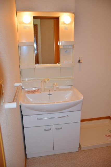 カーサ大高 洗面所
