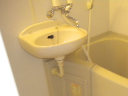 アンプルールリーブル　ＡＩ 洗面所
