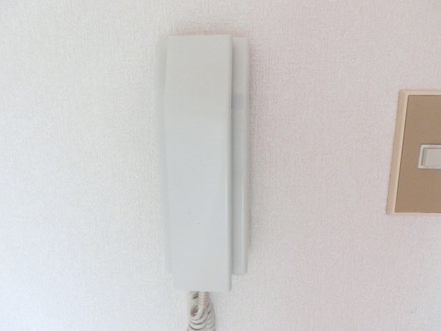 レナ三宅 セキュリティ