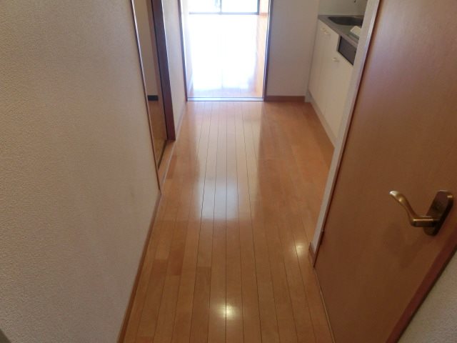 マウンテール その他