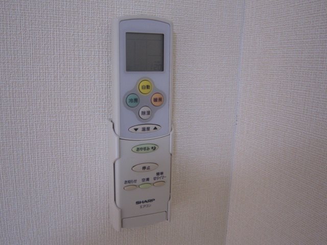シュティーア その他