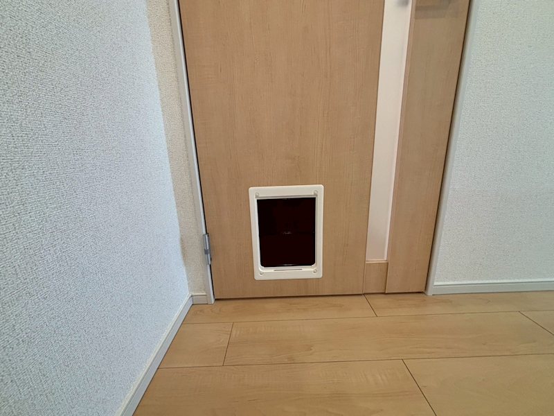 カーサコリーナⅢ その他
