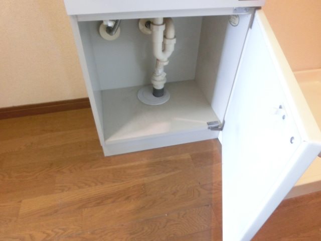 ホーステール作の山 その他