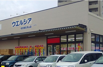 ミルベネフィス ドラッグストア