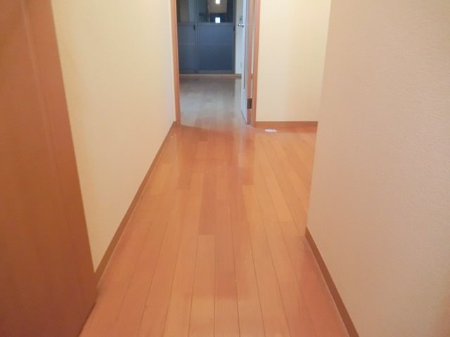 アネーロ その他