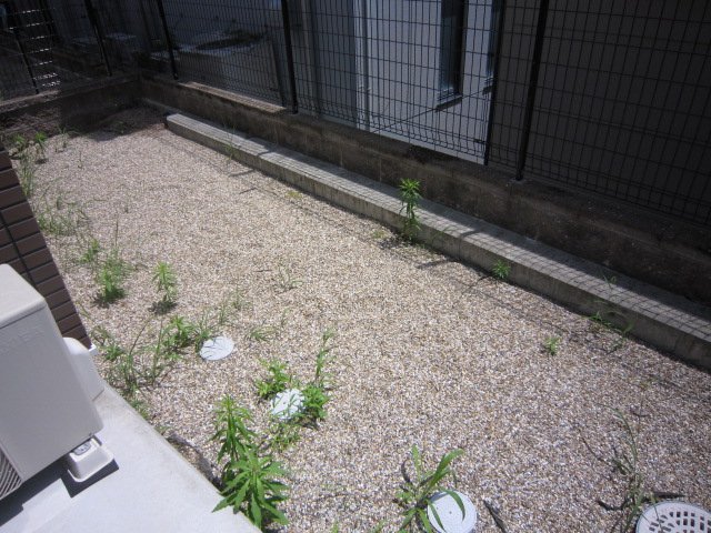 クローバーヒル その他