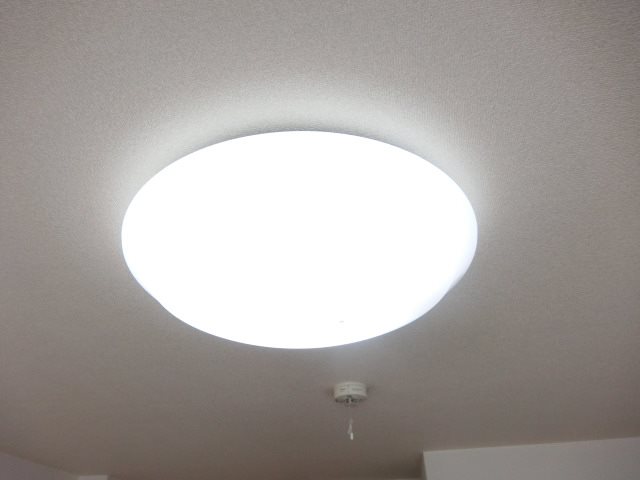 グルーヴィー竹の山 その他