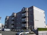 クリスタルパレス 駐車場