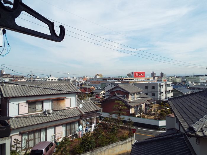セントポーリア その他