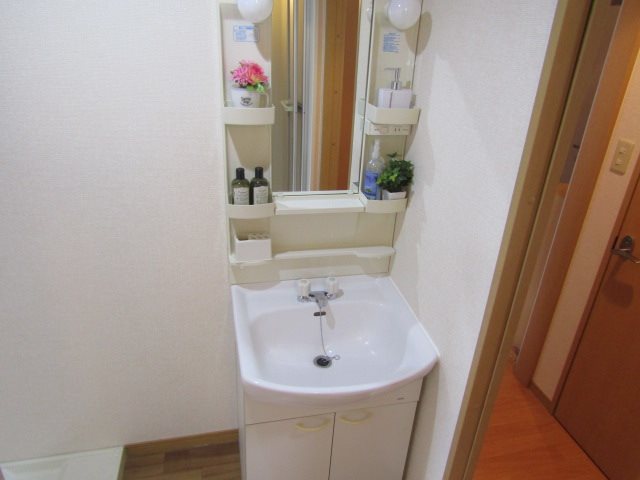 パセオみどり 洗面所