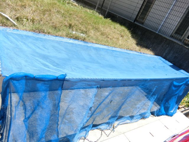 ザ・サン その他