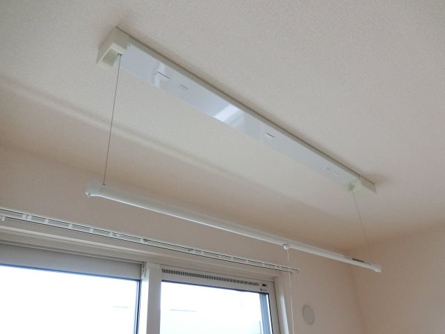ザ・サン その他