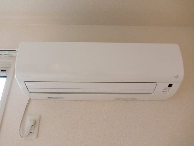 ザ・サン その他