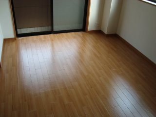 ラプルメリア その他