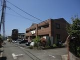 ラプルメリア その他