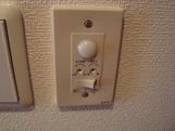 ラプルメリア その他