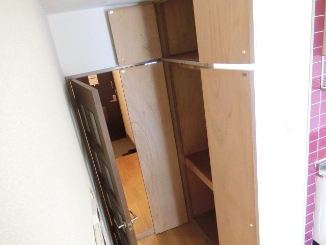 スティルネス洋 その他