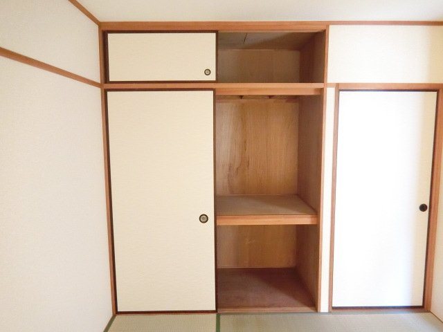 スティルネス洋 その他