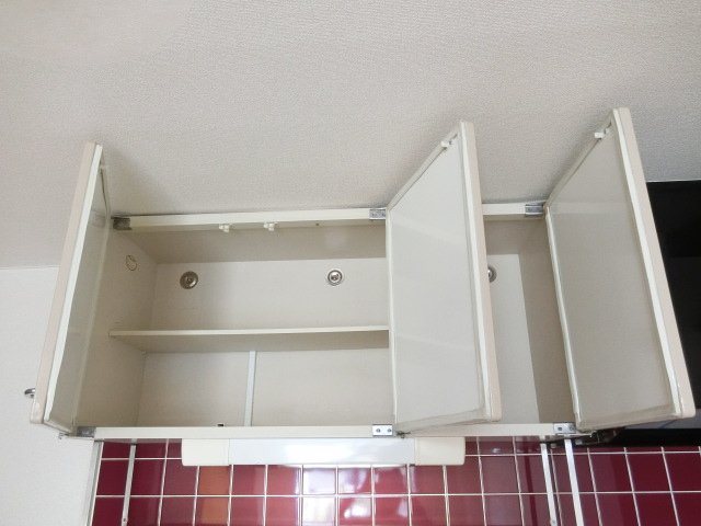 スティルネス洋 その他