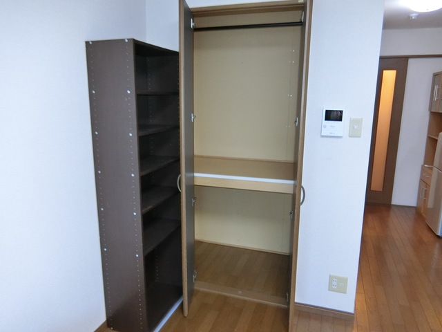 サンヒルズ大進 収納