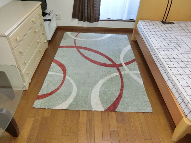 サンヒルズ大進 その他設備