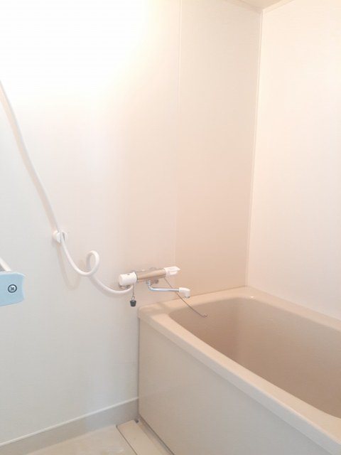 グリーンヒル滝の水 風呂画像