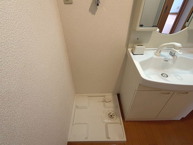 ルースリーリヤ その他