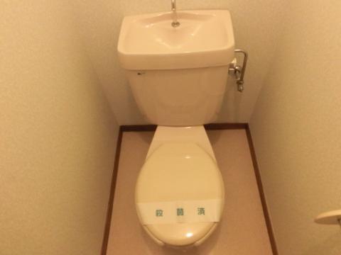 ハウスグリーンロード トイレ