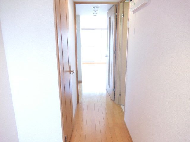 アブレスト原 その他