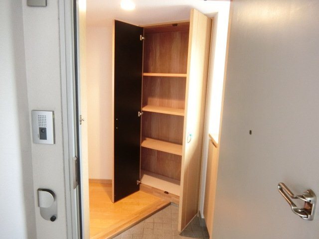 アブレスト原 その他