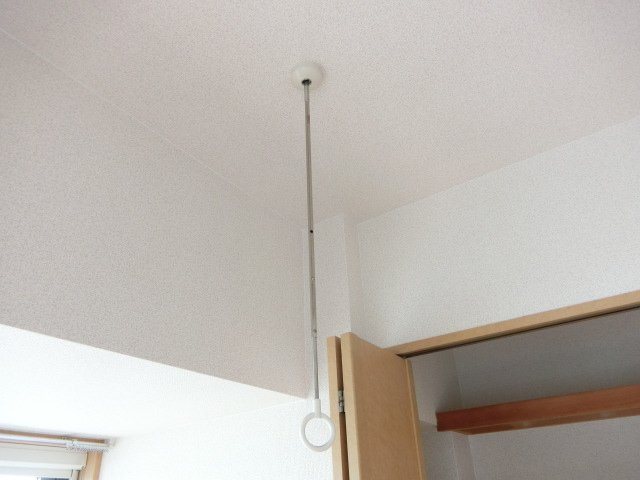 アブレスト原 その他
