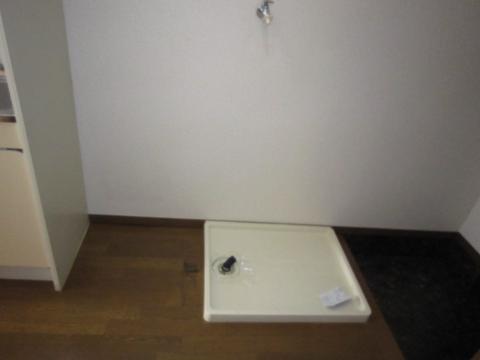 オアシス その他