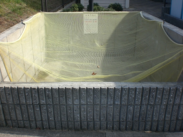 愛知県みよし市三好丘緑５丁目 その他