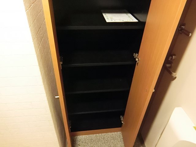 ＵＭＥＸ－10（ユメックス） その他