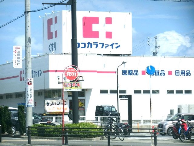 sorgente ドラッグストア