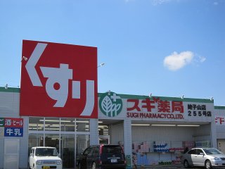 フィオーレⅡ ドラッグストア