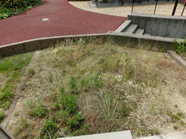 Hills Garden植田C棟（ヒルズガーデンウエダ） その他