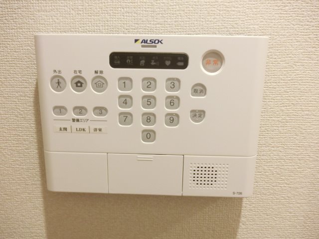ラフェリシス その他