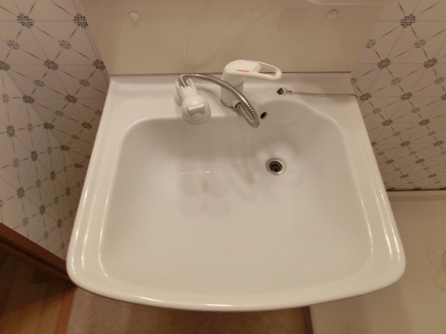 エリジオン 洗面所