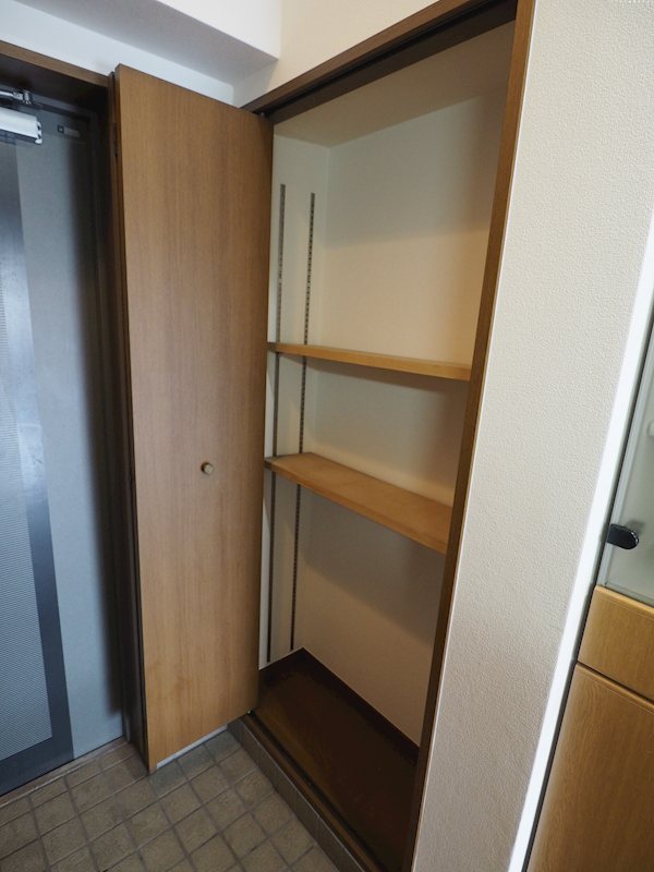 エルスミラン その他1