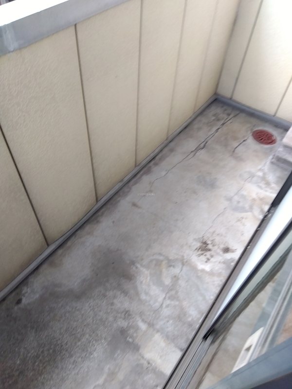 その他12