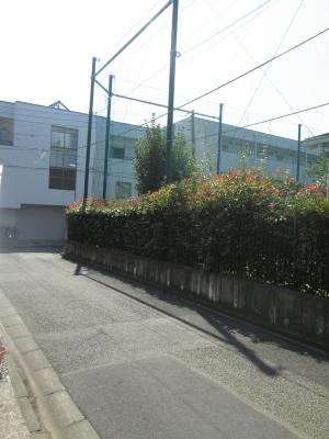 その他7