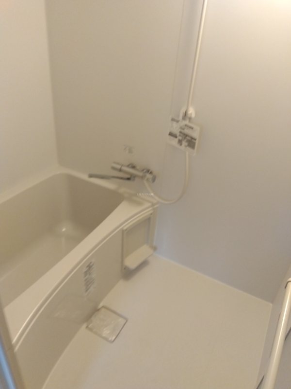 その他12