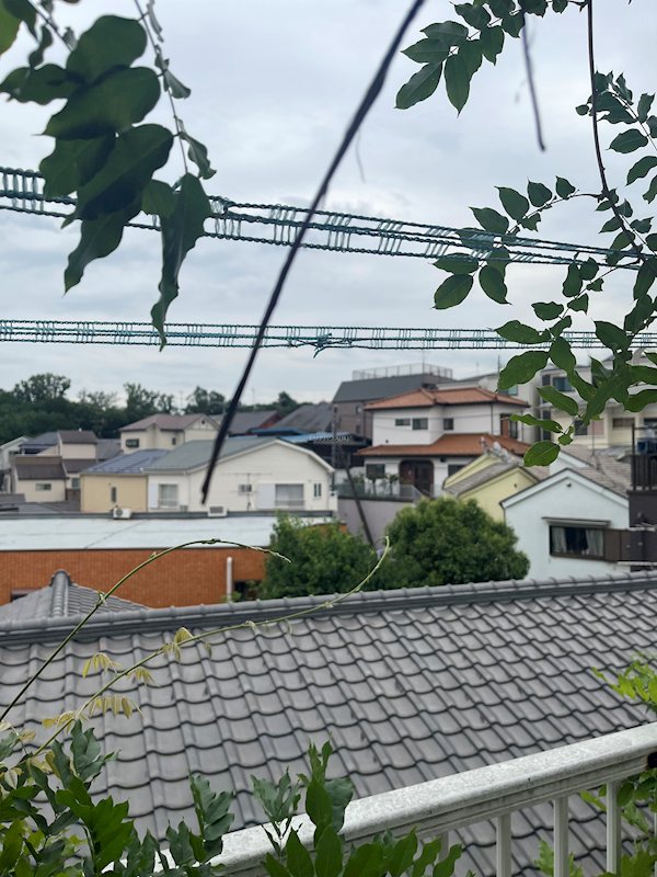 その他6