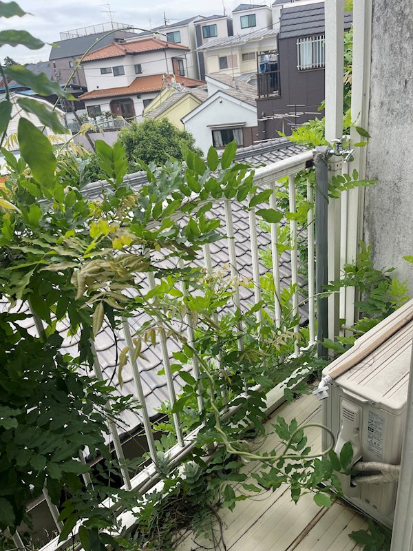 ベランダ