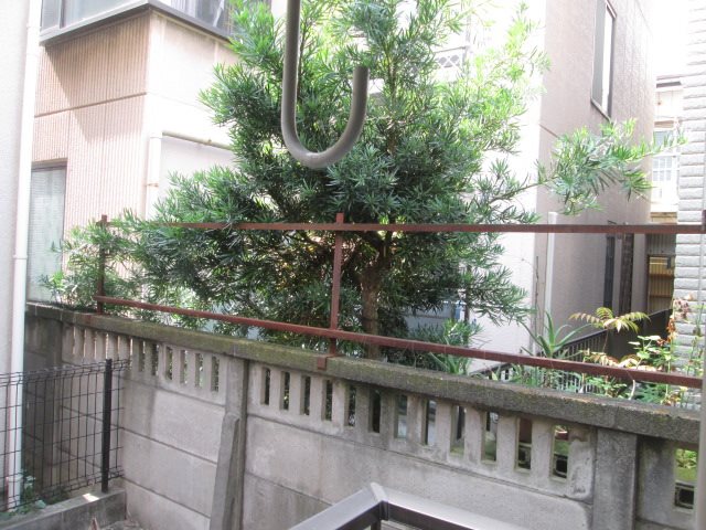 その他6