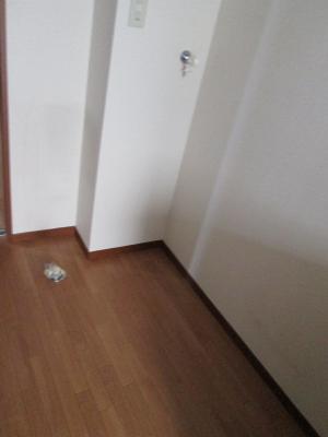その他8