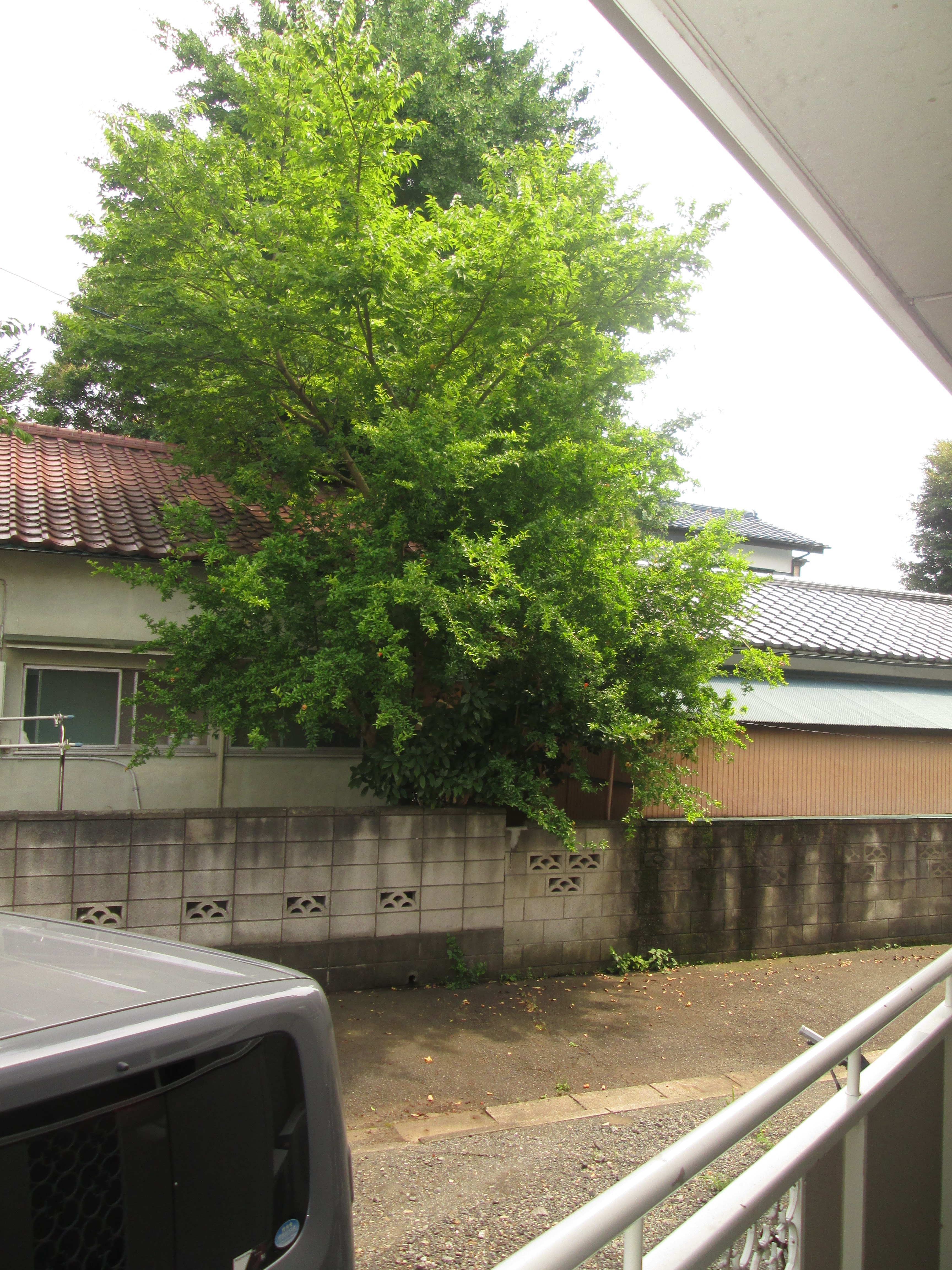 その他26